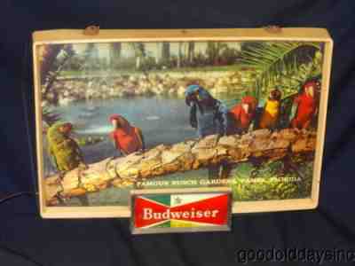 Rare Vintage 1963 Budweiser Lighted Sign - Busch Gardens with Macaws & Parrots