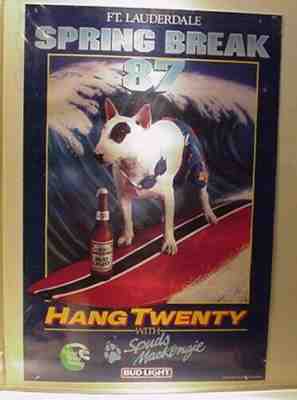 SPUDS MACKENZIE RARE 1987 FT. LAUDERDALE SPRING BREAK POSTER #2