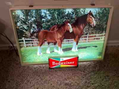 Vintage Anheuser Busch Budweiser Clydesdale Mare And Foal Light Up Sign