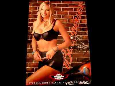 2001 Hot Biker Girl Sturgis Motorcycle Rally SD Budweiser Model Pin Up Poster