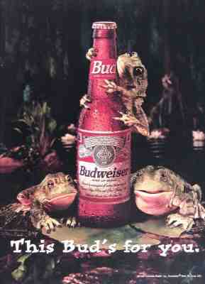 1996 BUDWEISER FROGS Genuine Vintage Ad ~ This Bud’s For You