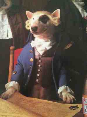 1987 SPUDS MACKENZIE PARTY ANIMAL POSTER