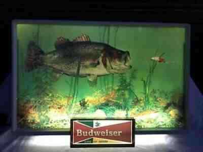 Vintage 1950s Budweiser Lighted Sign Large Mouth Bass (Beautiful Condition!!)