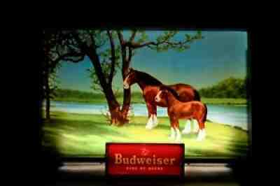 c. 1958 Mid Century Modern Budweiser Beer Mare & Foal Lighted Advertising Sign