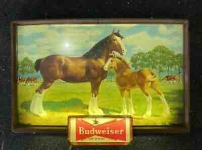 Rare Vintage Budweiser Beer Lighted Sign Clydesdale Horse Baby Colt 1950 1960â??s