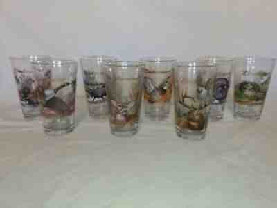 BUDWEISER WILDLIFE GLASSES SET OF 8