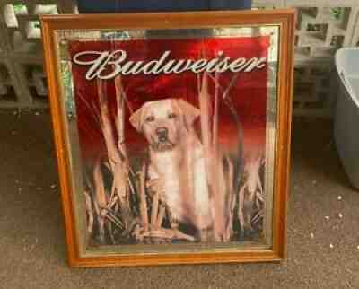 budweiser beer mirrors hunting Labrador retrieverÂ 