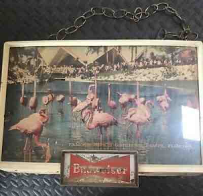 Vintage BUDWEISER BEER Lighted Sign Busch Gardens Tampa, Florida Flamingoes