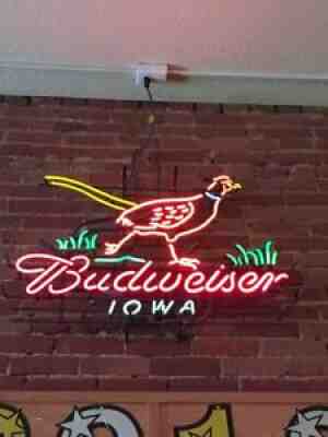 New Pheasant Budweiser Iowa Bud 24