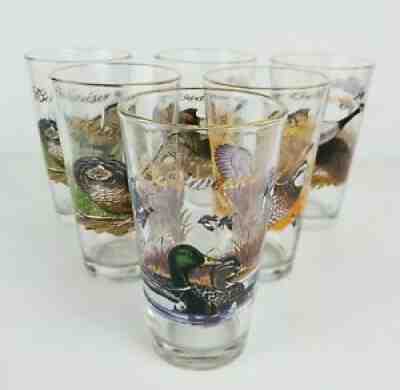 Vintage Budweiser Pint Beer Glasses Wildlife Series Outdoor Scenes 1999 Set Of 6