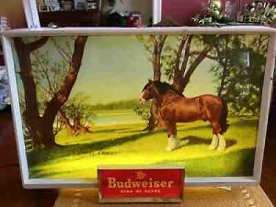 VINTAGE 1950s BUDWEISER CLYDESDALE LIGHTED SIGNS