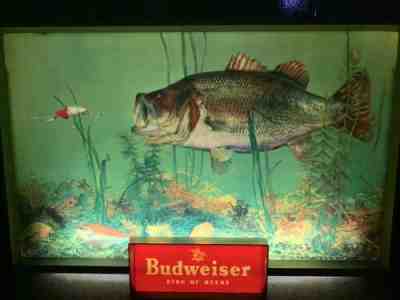 Vintage 1950's Budweiser Beer Light Up Sign Bass Fishing Cabin Decor Lure Fish