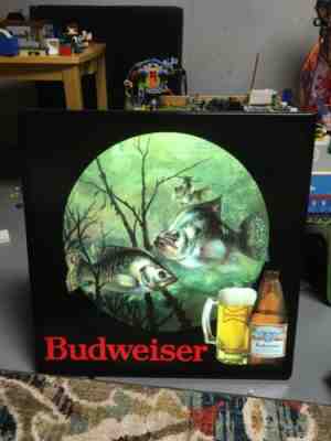 Vintage Budweiser Beer Crappie Light Sign Plastic Fishing Advertising Fish Works