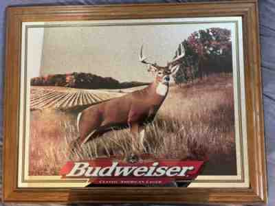 Budweiser mirror