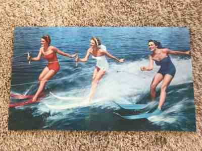 VTG 1950 Anheuser Busch Budweiser Beer SKI SWIM SUIT BABES Plastic Sign Insert