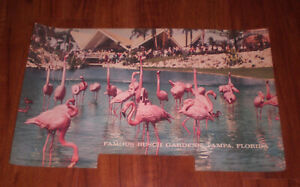 BUDWEISER BEER SIGN INSERT - BUSCH GARDENS - FLAMINGOS - 19