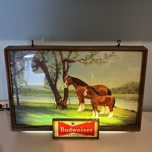 Rare Vintage 1950s Budweiser Beer Lighted Sign Clydesdale Mare Foal Horses GLASS