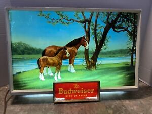 Rare Vintage 1950s Budweiser Beer Lighted Sign Clydesdale Mare Foal Horses GLASS