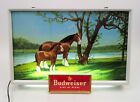 Vintage 1950s Budweiser Beer Lighted Sign Clydesdale Mare & Foal Horses ~ READ