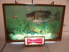 Killer 1957 Vtg Budweiser Lighted Beer Sign Large Mouth Bass Fishing Lure Minnow