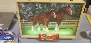 budweiser 1950s Vintage Lighted Rare Clydesdale Sign