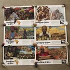 Vintage 1981 Budweiser Great Kings of Africa Posters - Set of 6