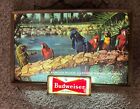 Nice 1950s Vtg Budweiser Lighted Beer Bar Sign Busch Gardens Tampa Parrots Birds