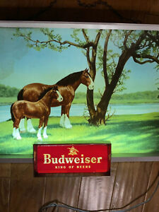 Vintage Budweiser Beer Lighted Sign Clydesdale Horse Colt WORKS 1960’s