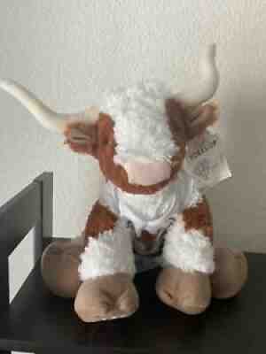 Collectable Texas Longhorn Cheerleader Build-A-Bear Workshop. New With Tags.