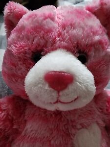 Ultra Rare Build A Bear Glittery Kitty