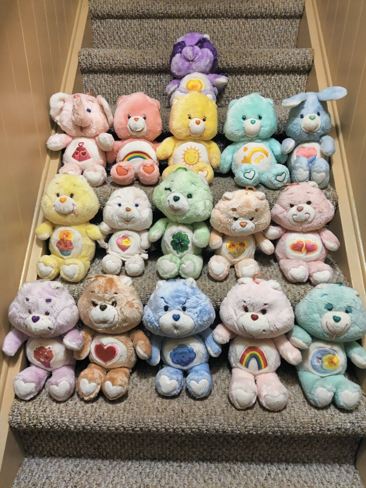 16 - Care Bears Plush Lot 1980's - 2000's Plushes Includes Cousins (D)