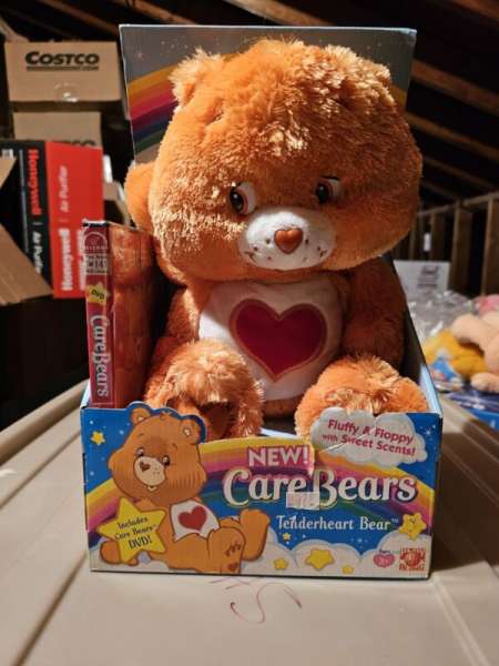 2006 Care Bears Fluffy & Floppy 12” Tenderheart Bear Plush Orange Shaggy Fuzzy