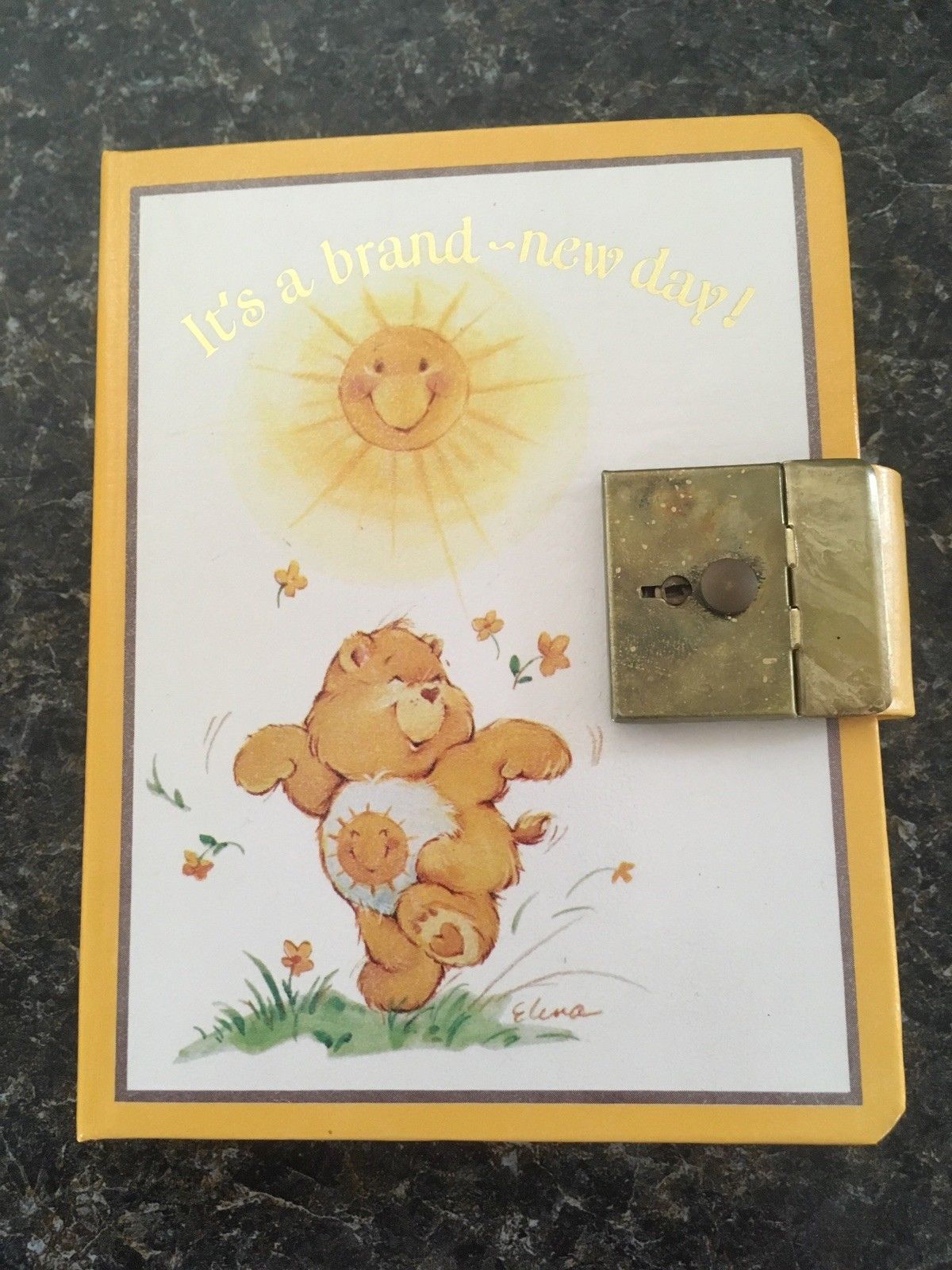 Vintage Care Bears One Year Diary Journal Sunshine Bear NOS 