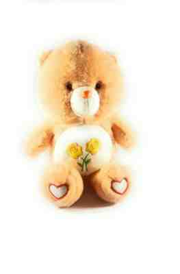 Care Bear Friend Bear Plush Orange Bear with Two Flowers
