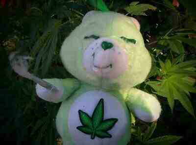 stoner care bear stuffed animals