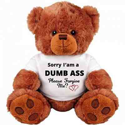 Sorry and Forgive Me Gift Funny Teddy Bear Couple Gift Medium Teddy Bear St...