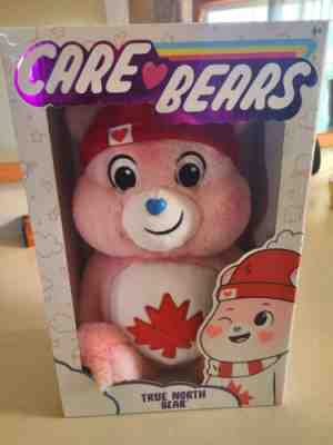 Care Bears - True North Bear 14
