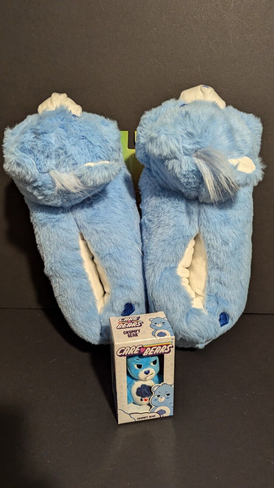 Care Bears - Bedtime Bear Adult Slippers & Grumpy Bear Micro Plush