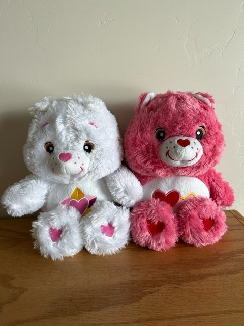 Care Bear Backpack Japan 2009 True Heart Or Love A Lot You Choose