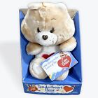 TENDERHEART BEAR CARE BEARS - Vintage 1983 Plush 15” Kenner - IN BOX