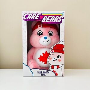 Care Bears True North Bear - 14