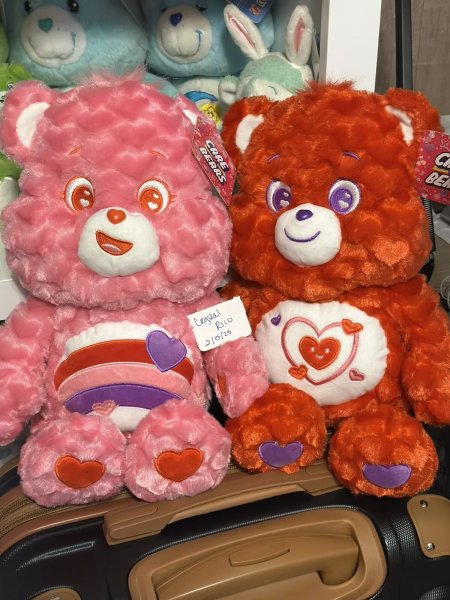 Popshelf Care Bears NWT 2025 Valentines Cheer and All My Heart Bear 16" Plush