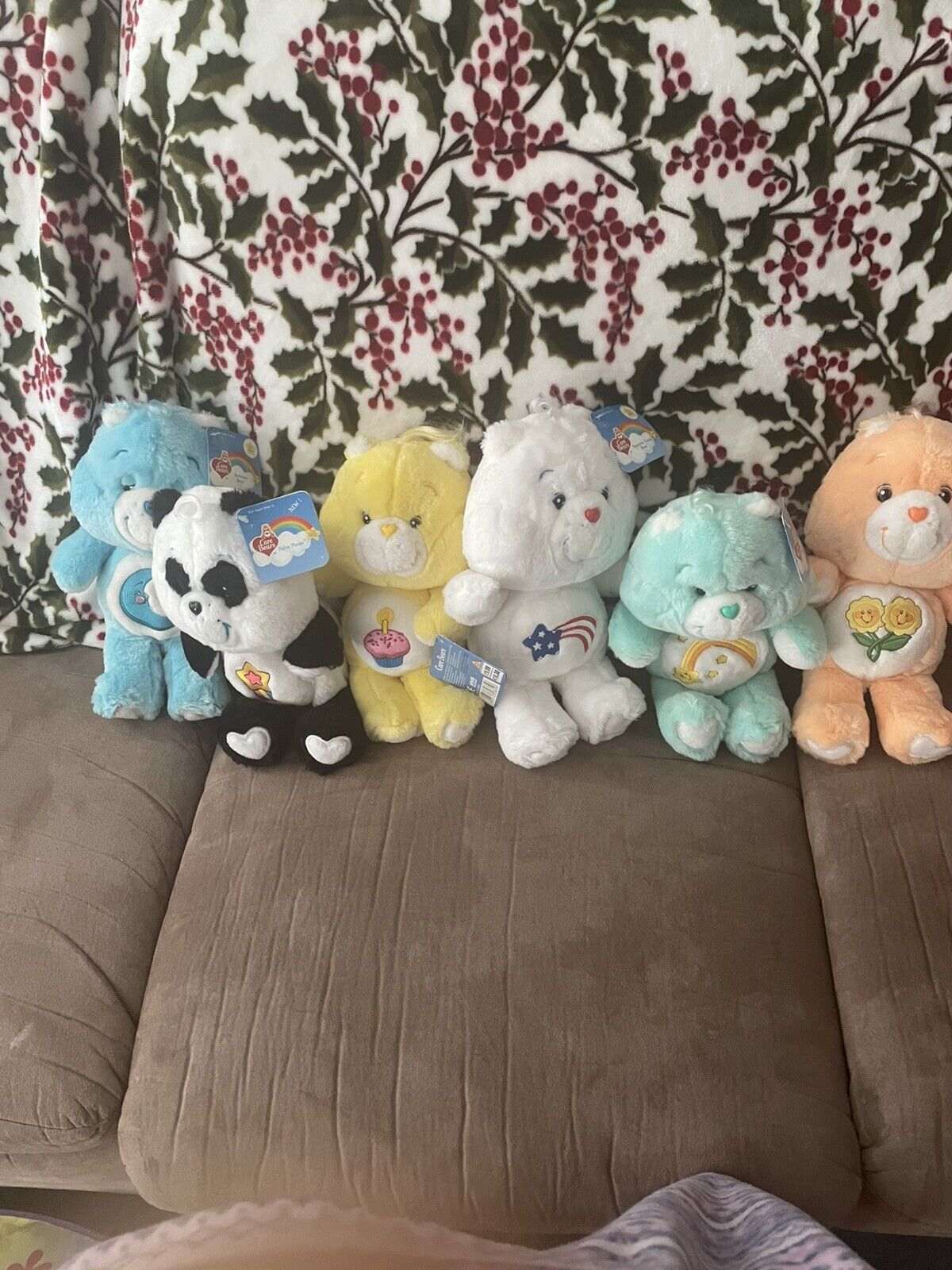 Lot Of Anniversary Care Bears And More