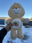 Forest Friend Bear Care Bear