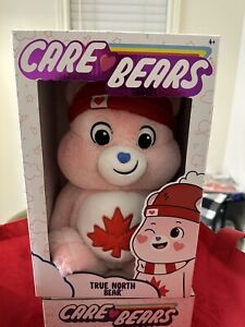 Care Bears True North Bear 14