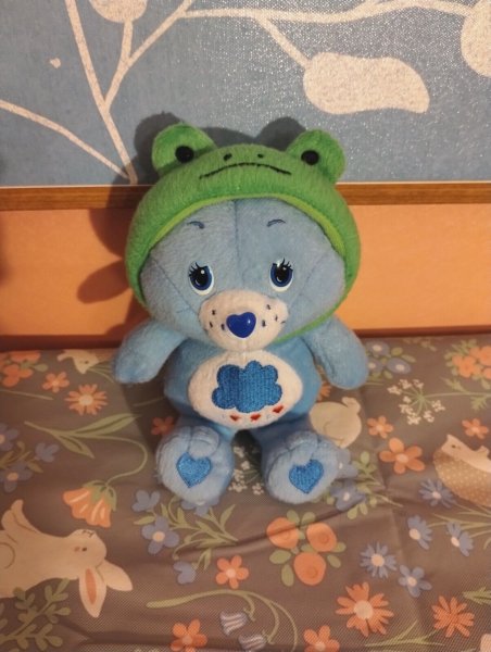 Care Bears Smiling Frog Grumpy 7" Plush Rare Sun Asia