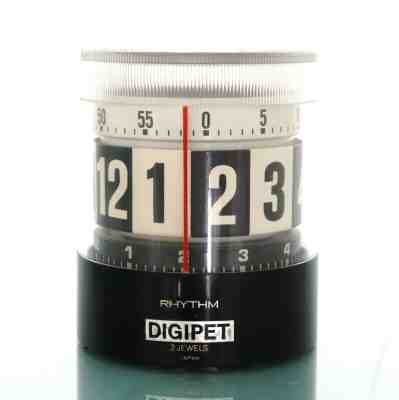 RHYTHM DIGIPET Rotating Alarm Clock Vintage EXTREMELY RARE Mantel DOME Space Age