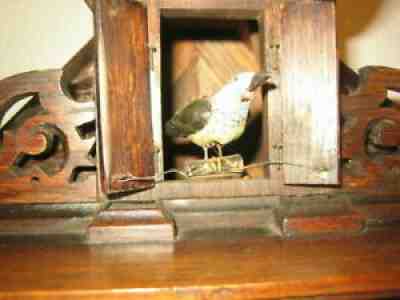 Extremely Rare Musical BEHA Shelf Cuckoo Clock 6 Tune Music Box