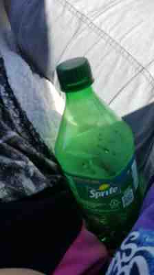 sprite