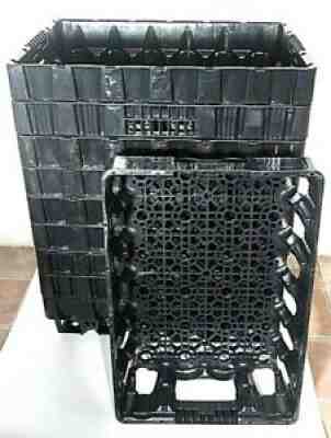 10 Coca-Cola Stackable Survival Gardening Plastic Crate 18" x 12" x 4.5" Coke